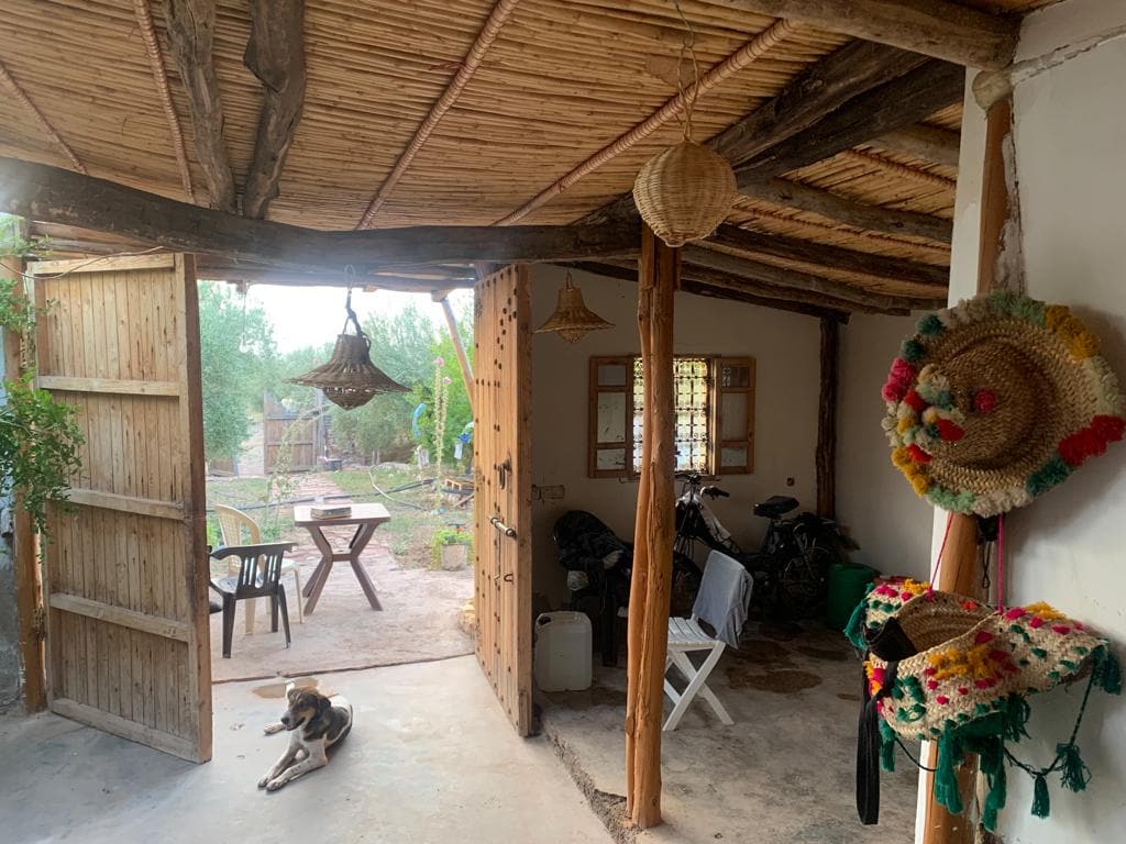 A cozy interior space features a thatched roof and wooden beams. An open door leads to a serene outdoor area, showcasing a small table and chairs among vegetation. Decorative hanging lights and colorful woven items add character. A dog relaxes on the floor, adding to the welcoming ambiance.