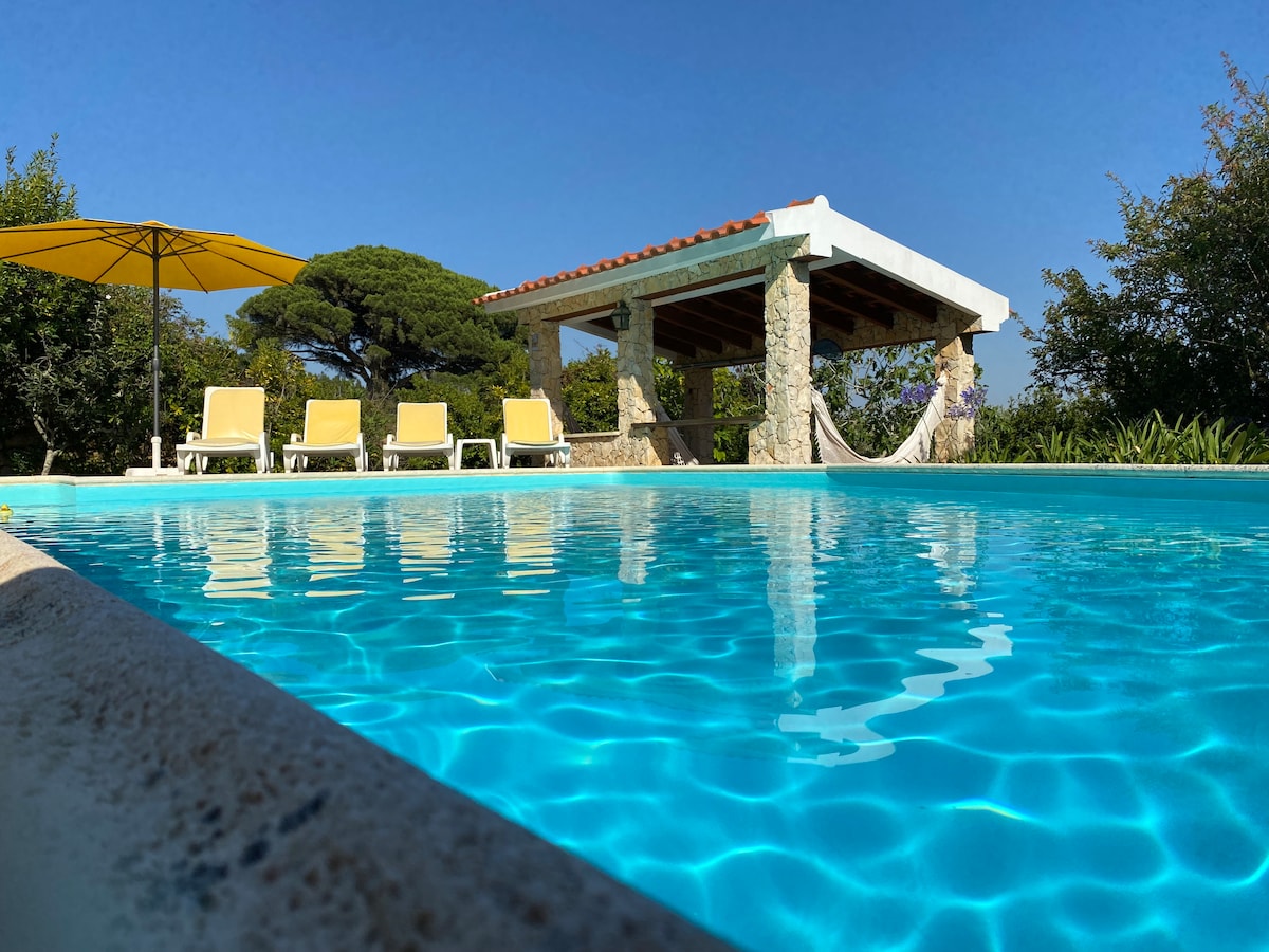 A serene pool area is featured, with crystal-clear water reflecting the blue sky. Sun loungers are arranged neatly by the poolside, alongside a shaded pergola. A hammock is visible under the pergola, surrounded by lush greenery, enhancing the tranquil outdoor setting.