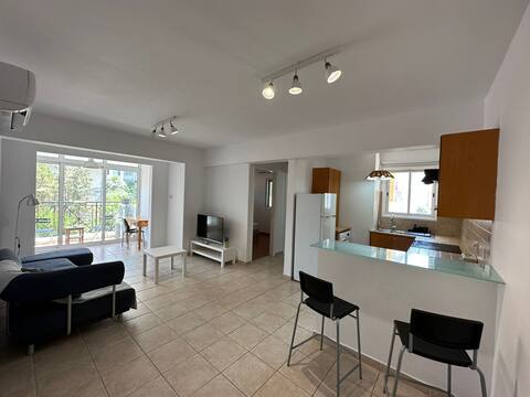 Spacious City Center - Suite 203