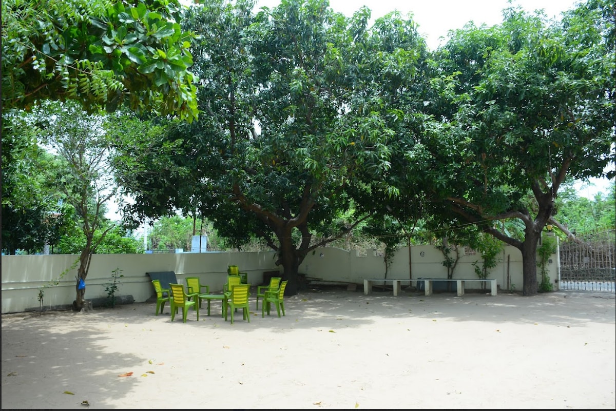 A spacious outdoor area is framed by large trees, providing shade over a sandy space. A set of green chairs surrounds a table, while a stone bench is positioned against the wall. The serene environment is enhanced by the natural greenery.