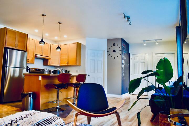 Family & Friends – Plateau Mont-Royal, 2 BR/2 BTH gallery image 3