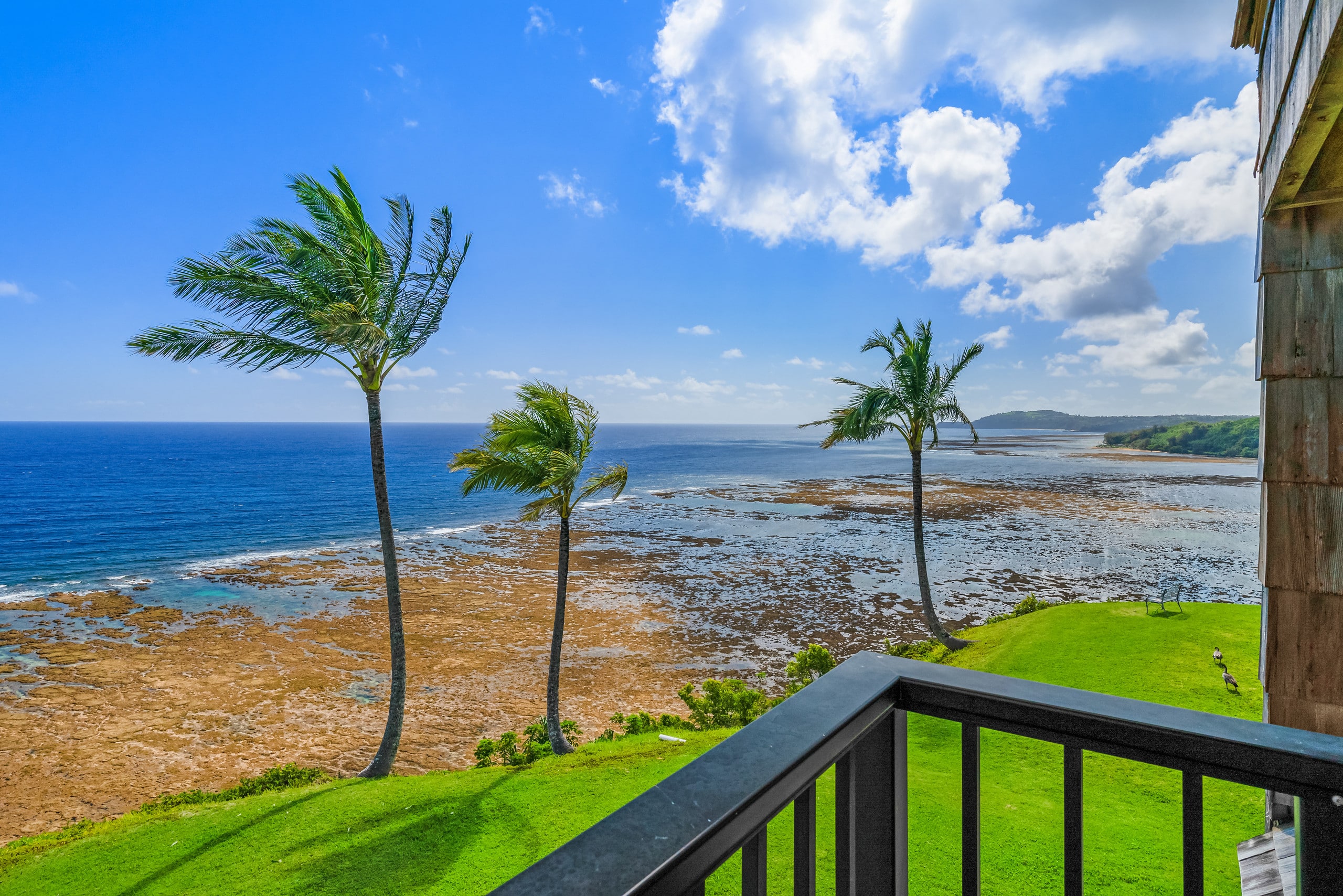 Modern Ocean Views ~Lovebirds Paradise With AC - Photo 12