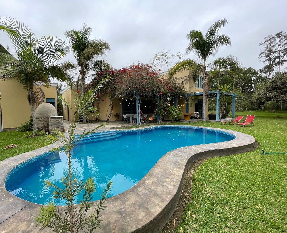 A tranquil outdoor setting features a curvy swimming pool surrounded by lush grass and tropical palm trees. Colorful flowers spill over the adjacent wall, while poolside loungers are positioned for relaxation. The area is complemented by a peaceful atmosphere, ideal for enjoying the natural surroundings.