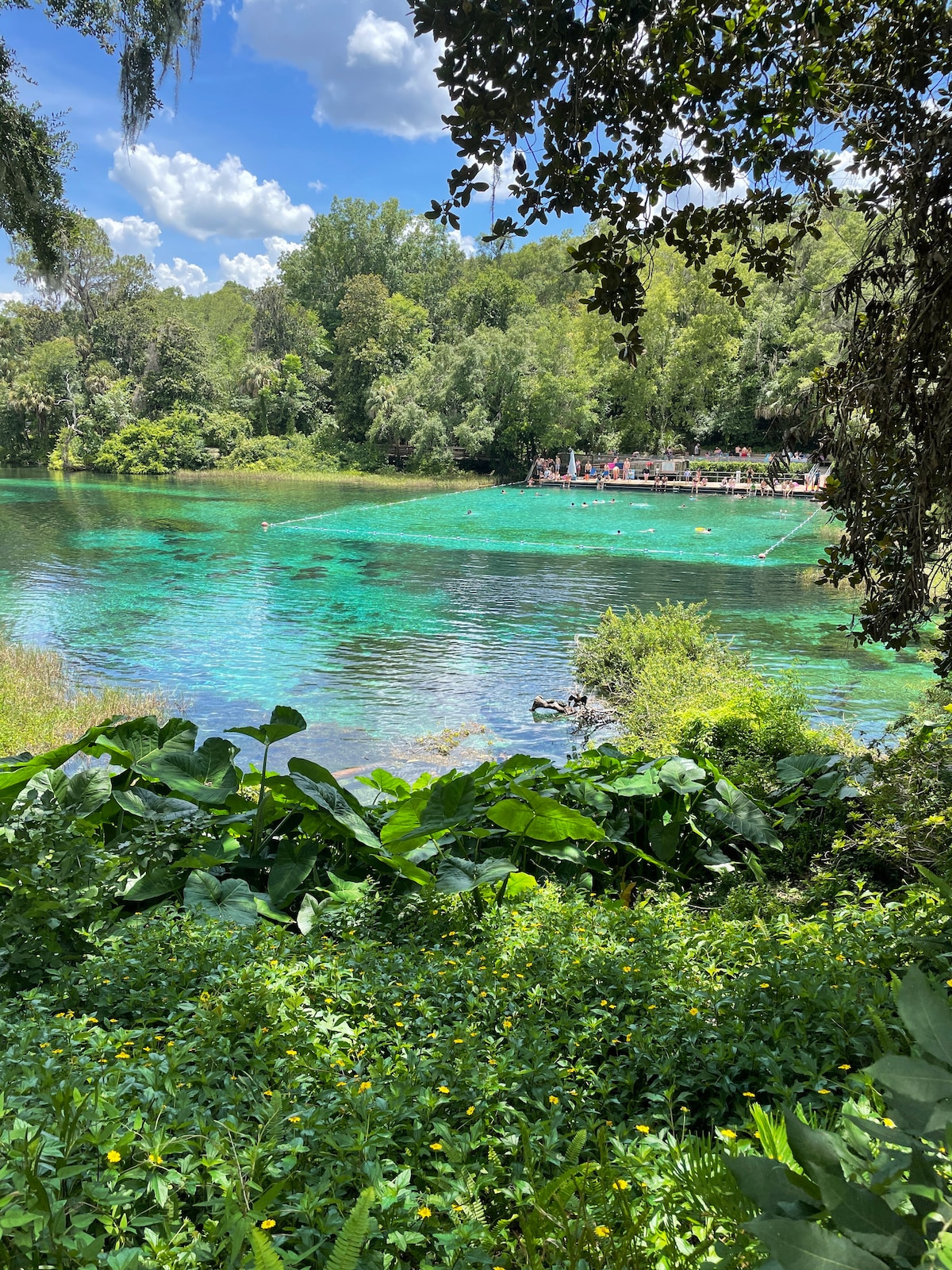 A serene waterway is surrounded by lush greenery and vibrant blue waters, reflecting the sky. Kayakers and visitors can be seen enjoying the scenery in the distance, creating a tranquil outdoor setting that highlights the natural beauty of the area.