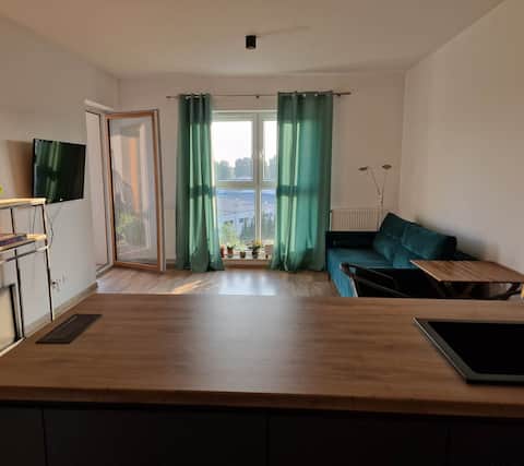 Successful Airbnb property: Apartment a step to the heart of Katowice in Katowice