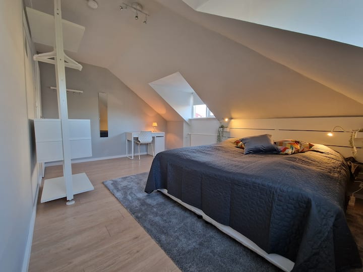 Loft Room in Hlíðar Reykjavík Apartments for Rent in Reykjavík