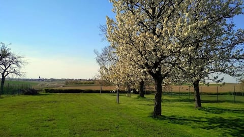 vacation home near Sint-Truiden (Eggenhof 2)