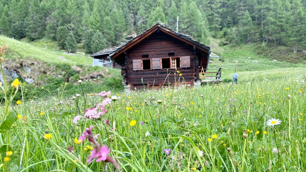 A traditional wooden chalet is set against a backdrop of lush greenery and wildflowers. The building features multiple windows framed in natural wood, with grass and colorful flowers in the foreground, creating a serene and picturesque natural environment.