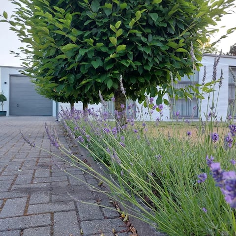 Vacation home De Papendaler