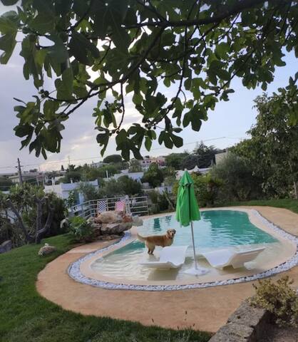 GREEN HOUSE Villa in Ostuni gallery image 5