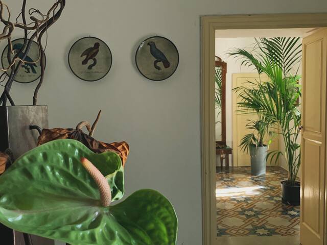 Trullo rosa Cisternino gallery image 4