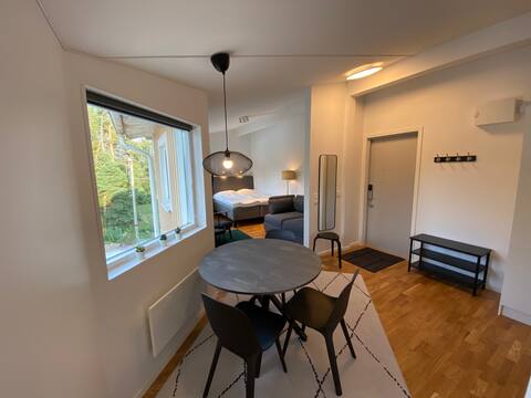 Fully equipped apartment, 32 sqm.