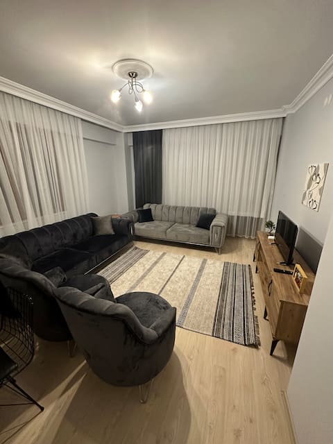 Elegant Modern Family Apartment