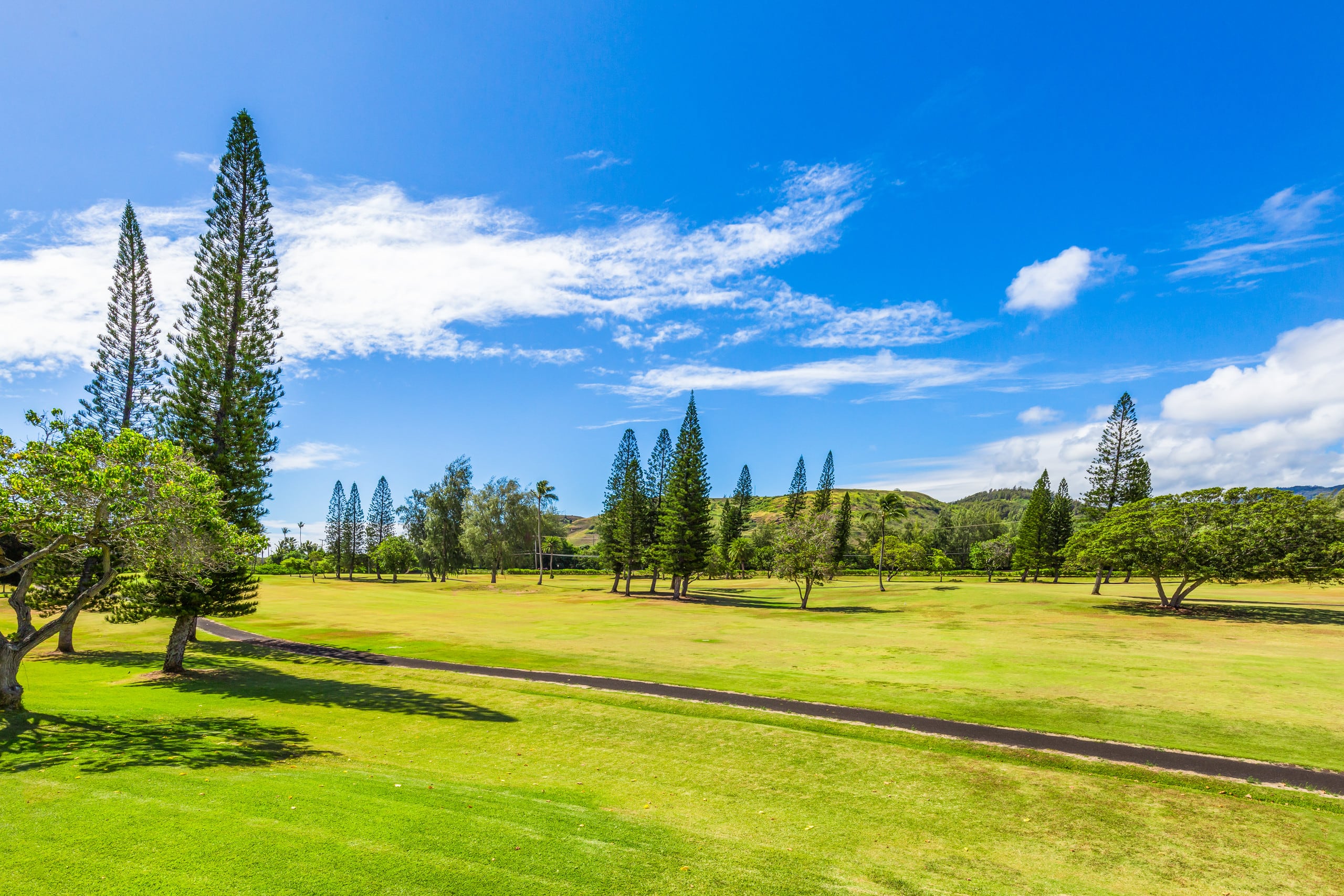 Condo in Kahuku · ★4.88 · 1 bedroom · 2 beds · 1 private bath - Image 15