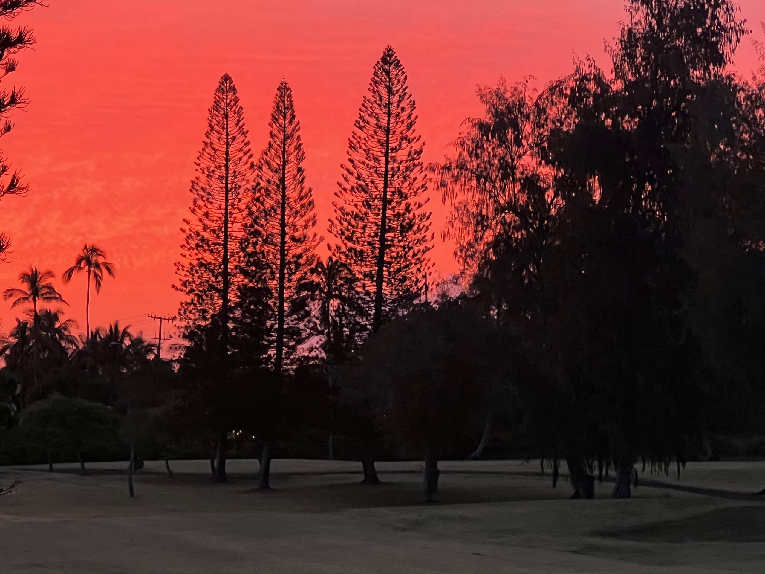 Condo in Kahuku · ★4.88 · 1 bedroom · 2 beds · 1 private bath - Image 17
