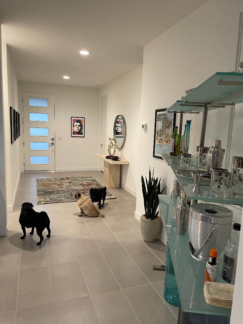 A bright hallway features sleek tile flooring and white walls, leading to a modern front door with multiple glass panels. Two dogs are seated on the floor near a decorative rug, while a glass console table displays various glassware and bottles. A potted plant adds a touch of greenery.