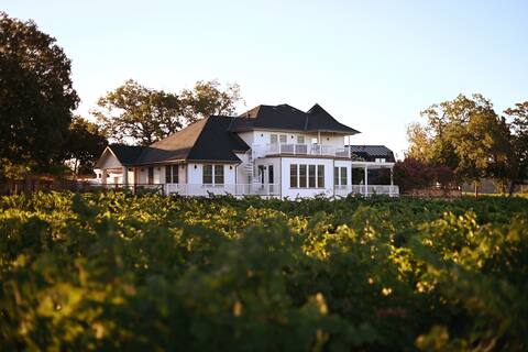 Luxury Healdsburg Estate & Vines