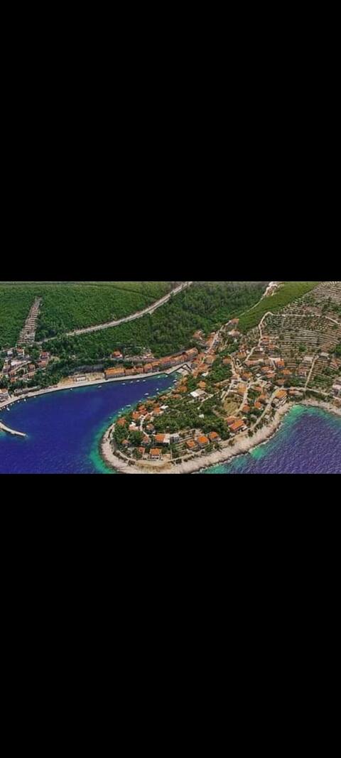 Island Korčula Veggie st. No.1