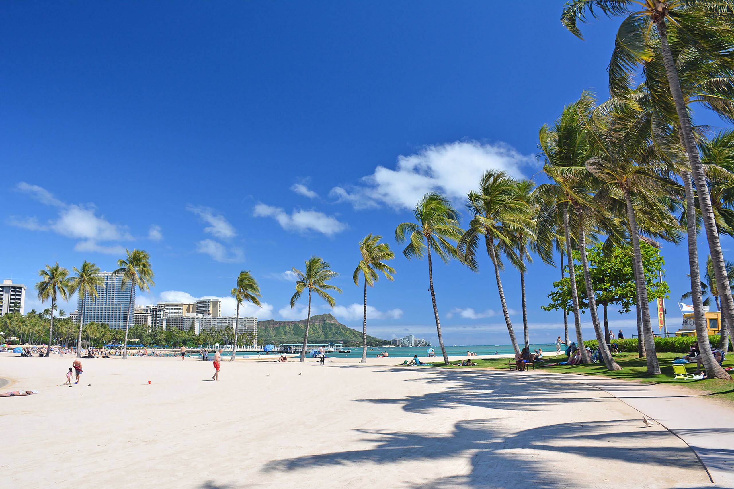 Ocean View Beachfront Luxury at Waikiki Shore #303 - Image 48