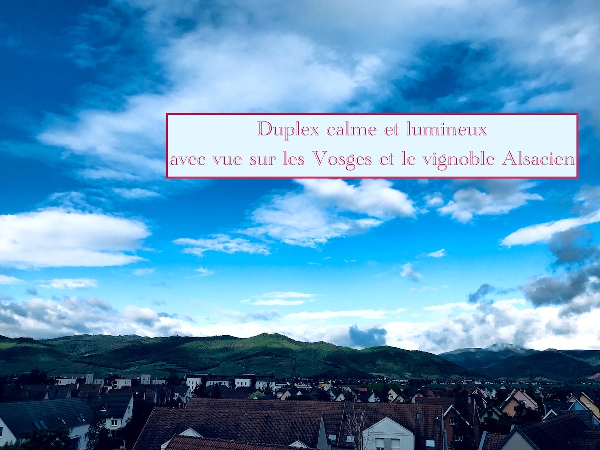 image de l'annonce