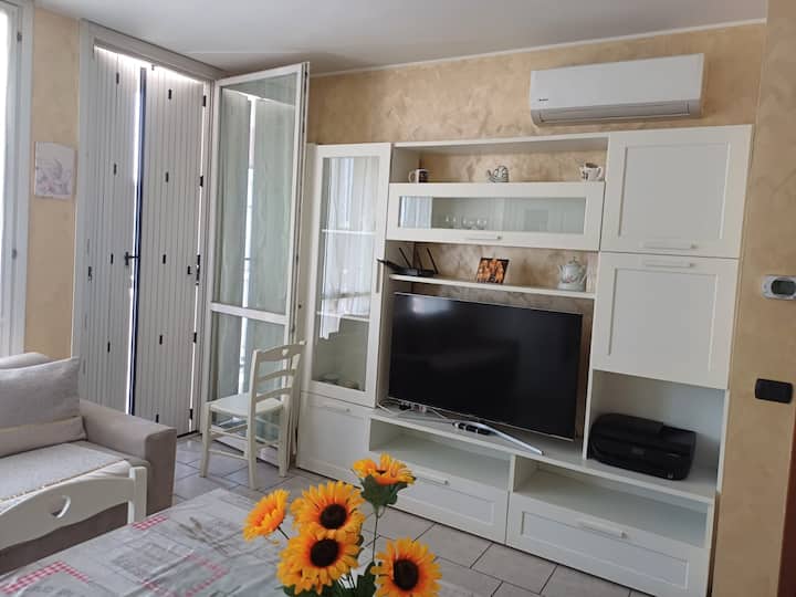 Appartamento Gallarate-malpensa - Gallarate