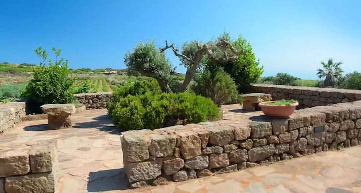 Dammuso Limone - Pantelleria