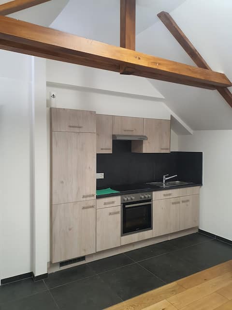 Furnished studio, Bussigny train station