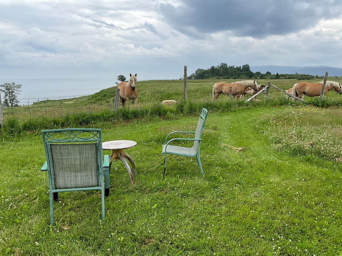 A serene outdoor area features a small round table surrounded by two metal chairs, set on a grassy field. Horses are visible in the background, grazing peacefully near a fence that borders a body of water under a cloudy sky.
