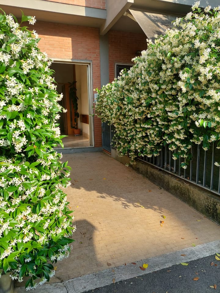 Flowerence - Florence