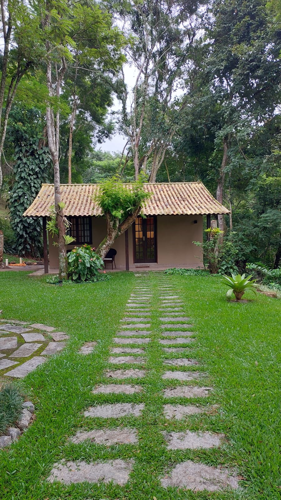 A charming chalet is nestled among lush greenery, featuring a thatched roof and large windows framed by trees. A paved path leads to the entrance, guiding visitors through the vibrant lawn adorned with various plants, creating a serene and inviting outdoor setting.