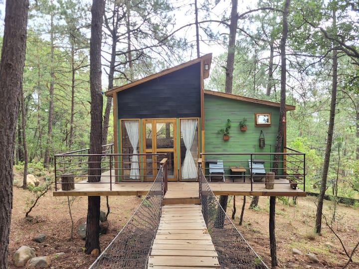 Amazon Cabin (Pinochueco)