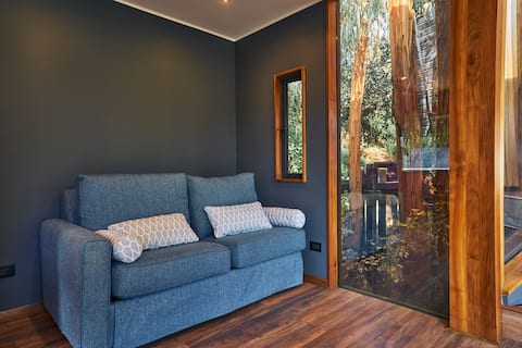 Top Airbnb: The Boldos house in Olmué