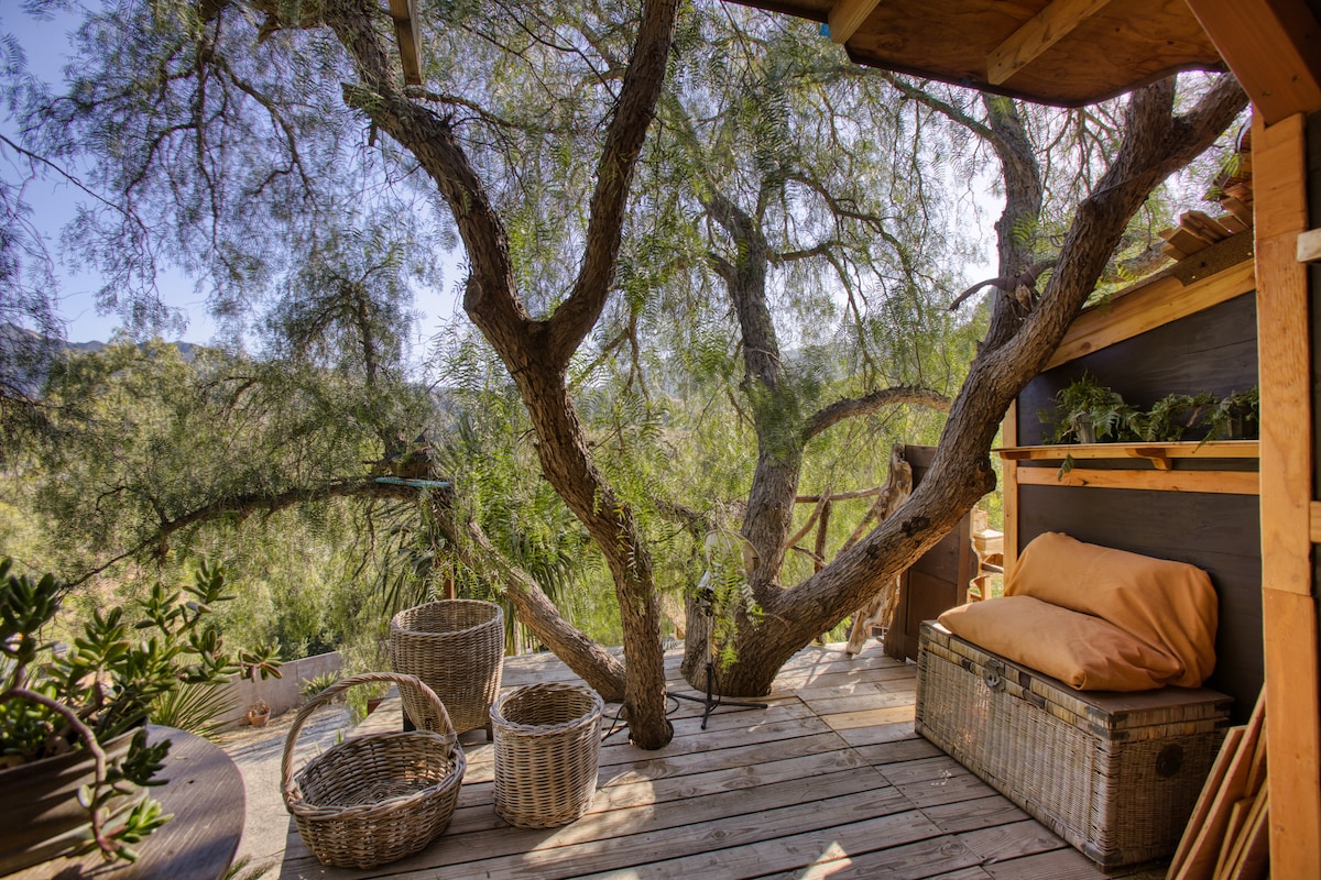 A secluded outdoor deck is embraced by a large tree, featuring wooden flooring and rustic storage bins. Woven baskets are arranged neatly, and a soft cushion rests on one of the storage units, inviting relaxation amidst the tranquil surroundings.