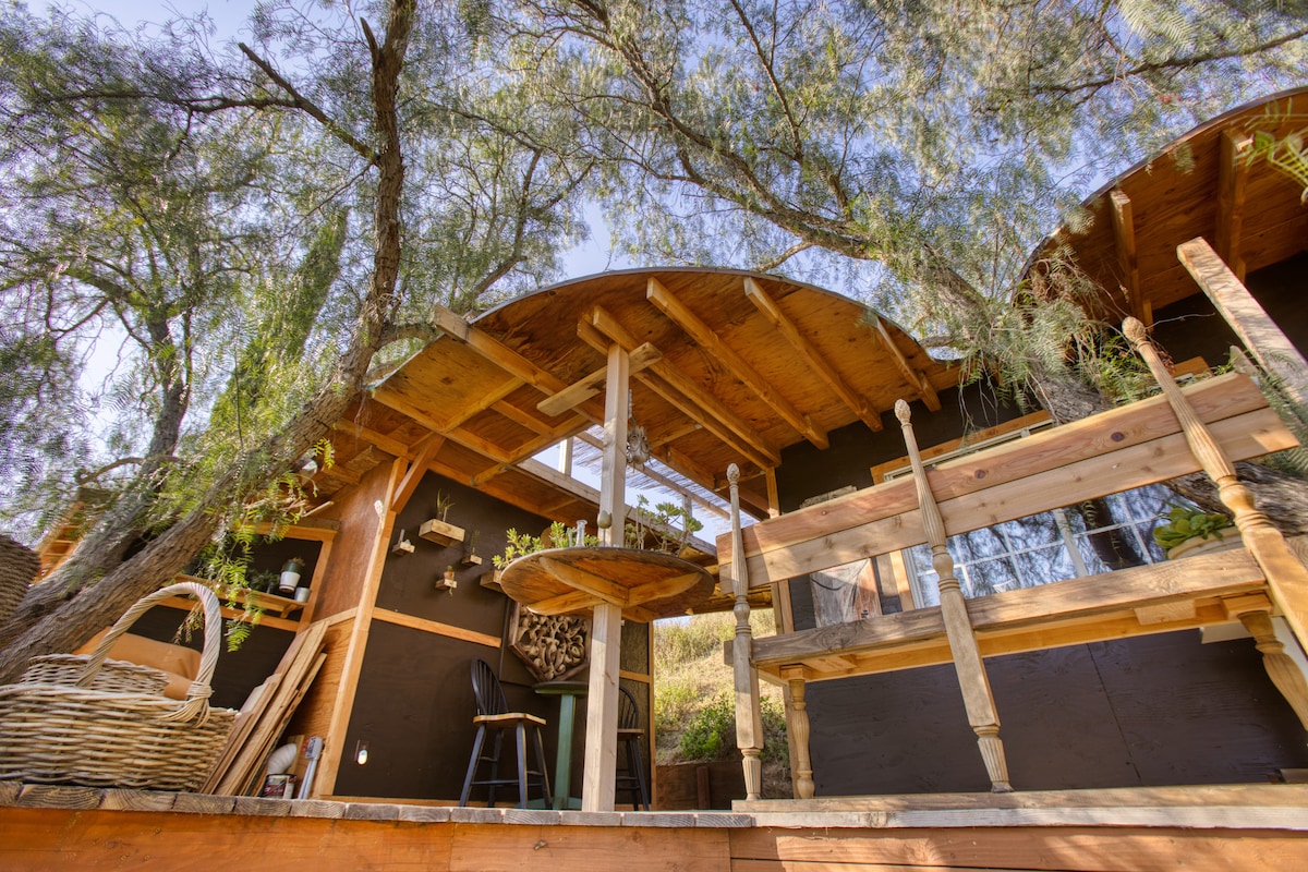 A rustic deck area is elevated and surrounded by tall trees, providing a serene outdoor space. Natural wood accents are visible, along with a small round table and a chair. Shelving holds potted plants, adding a touch of greenery to the inviting setting.