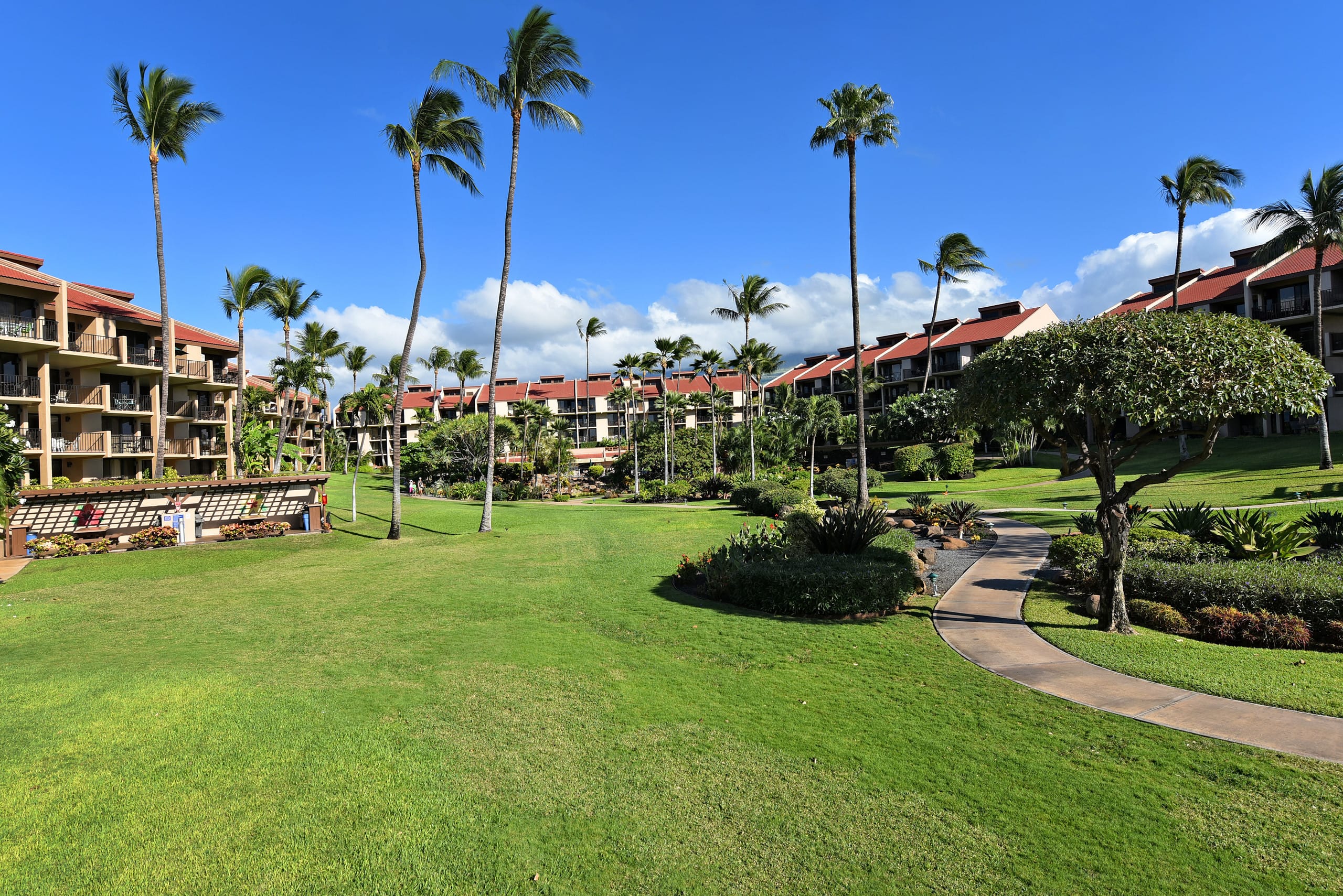 Newly Remodeled Kamaole Sands - Image 33