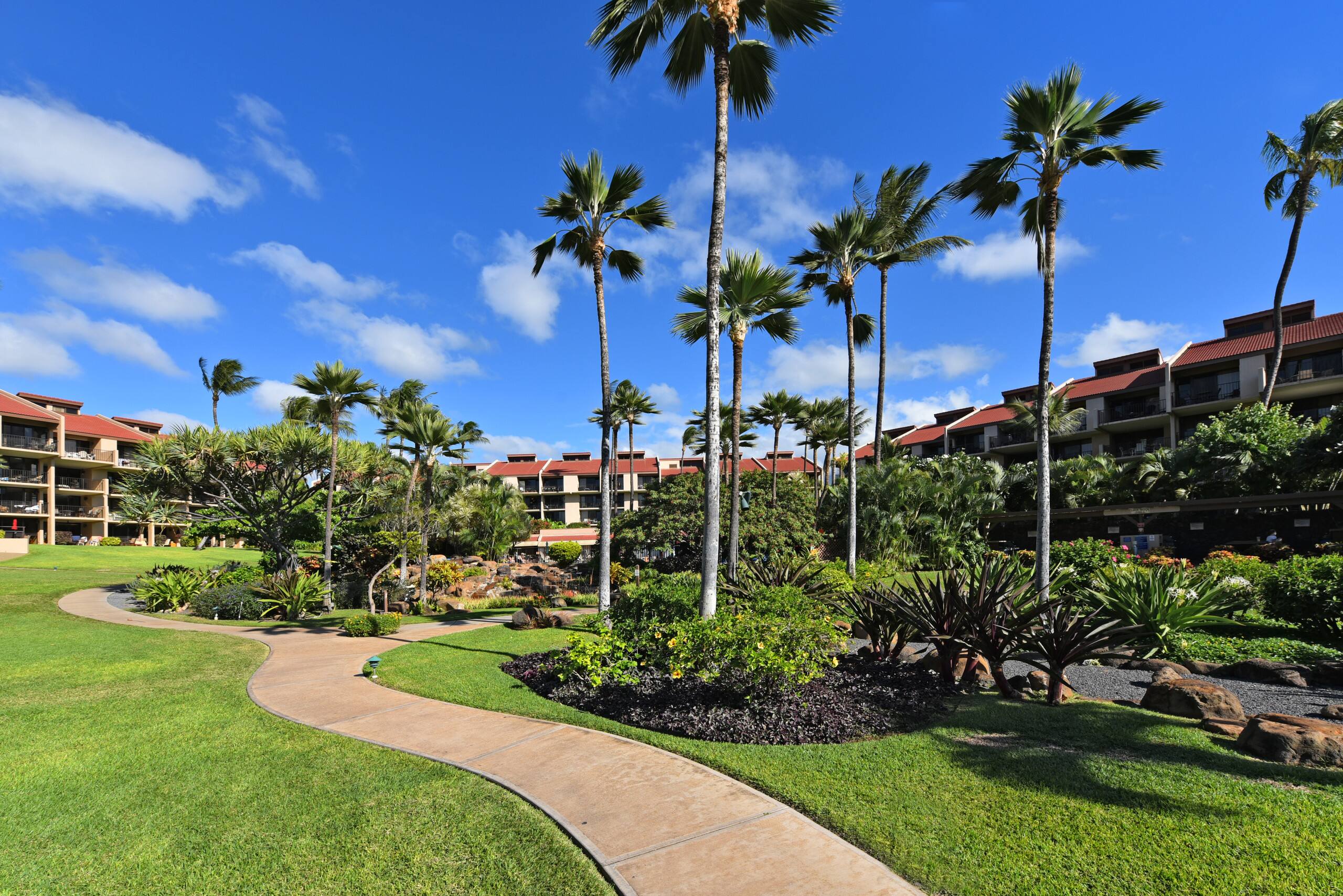 Newly Remodeled Kamaole Sands - Image 35