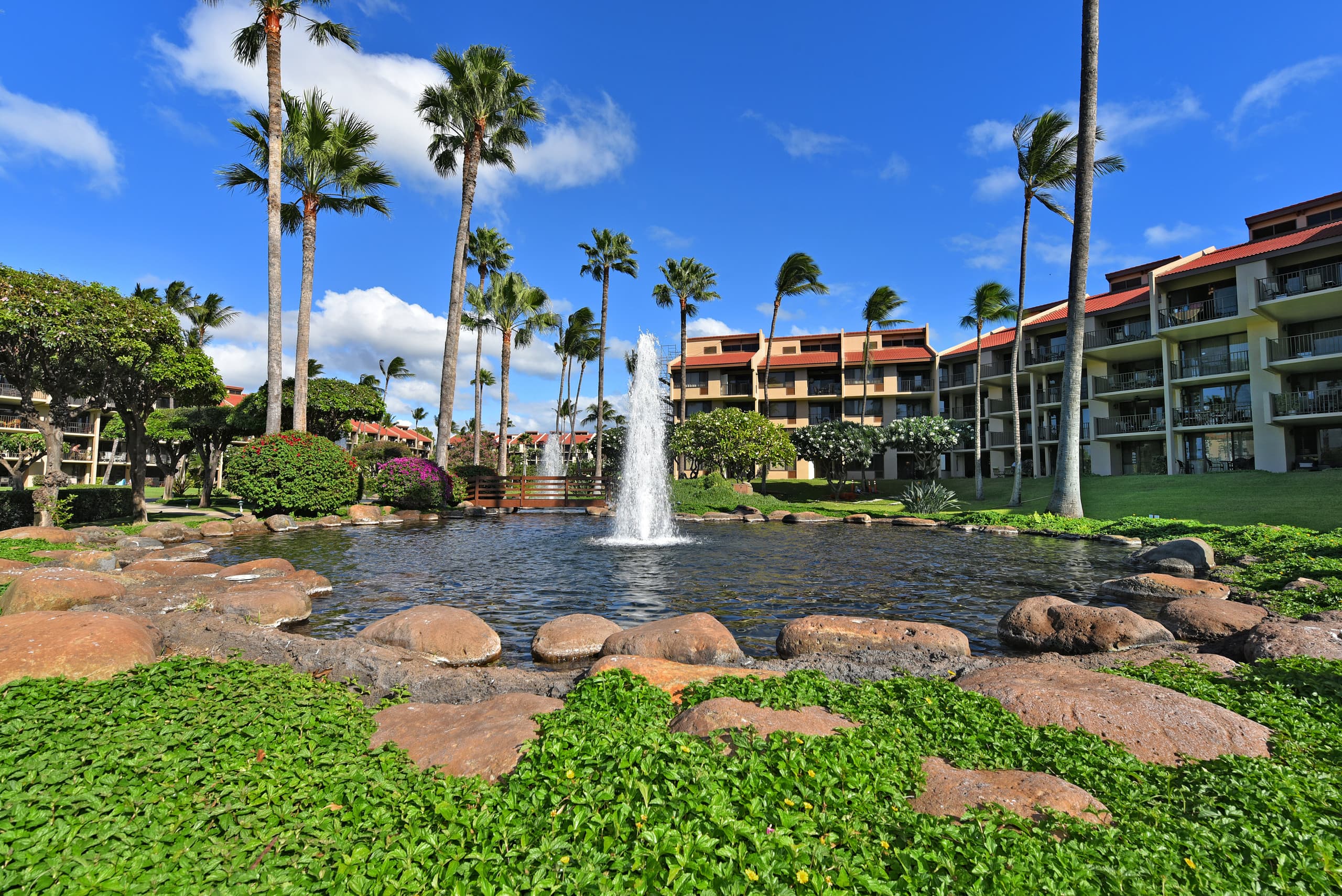 Newly Remodeled Kamaole Sands - Image 34