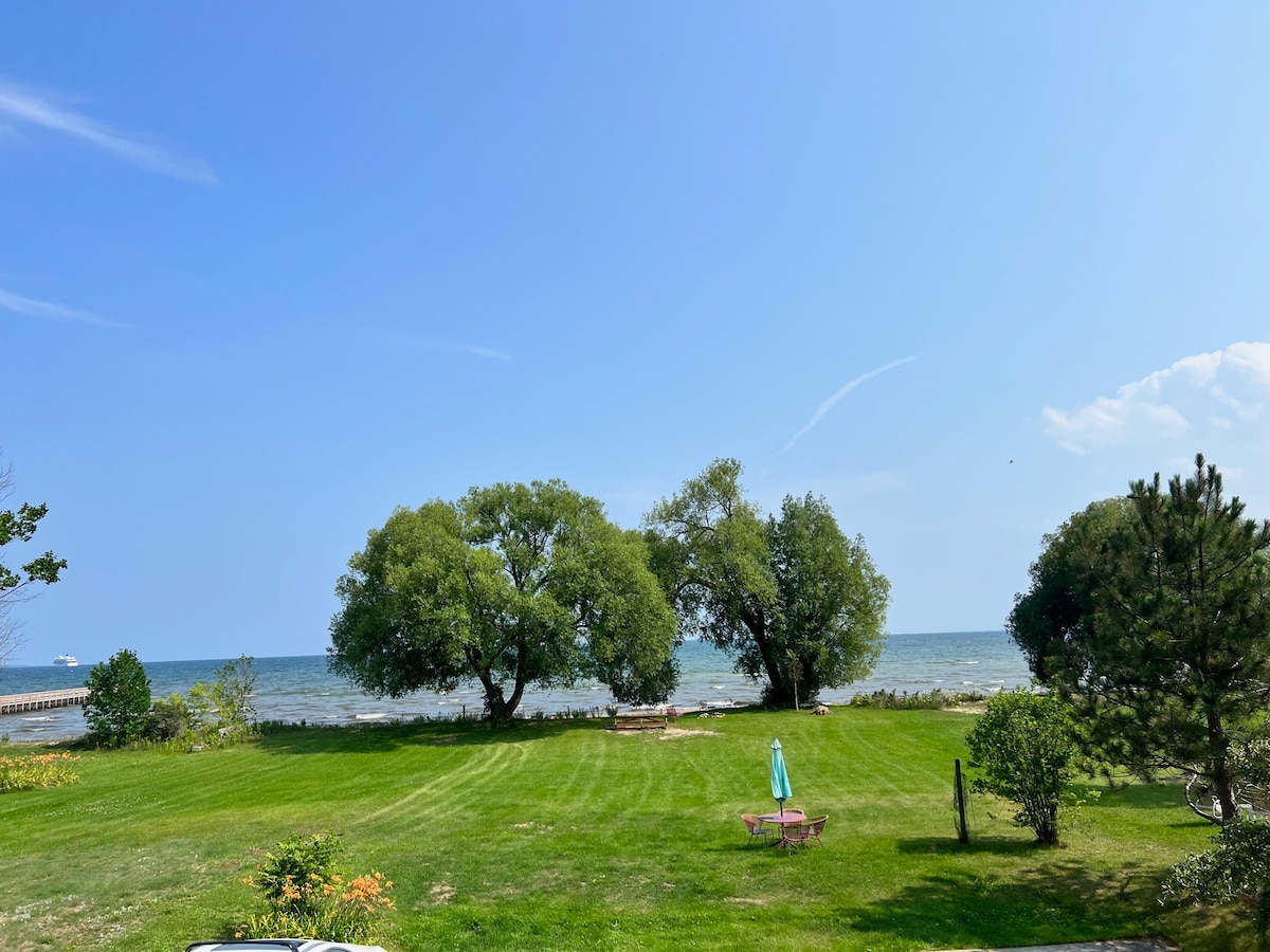 A vast grassy area leads to the shoreline of Lake Huron, where gentle waves can be seen. Two large trees provide shade alongside the beach, and a seating area is visible in the foreground. Clear blue skies stretch above, enhancing the serene outdoor setting.