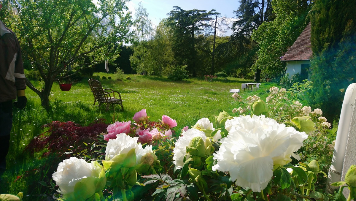 A garden setting showcases a variety of vibrant flowers, including large white and pink blooms. A spacious green lawn is surrounded by trees, and a wooden chair is positioned in the background. Natural light illuminates the peaceful outdoor space.
