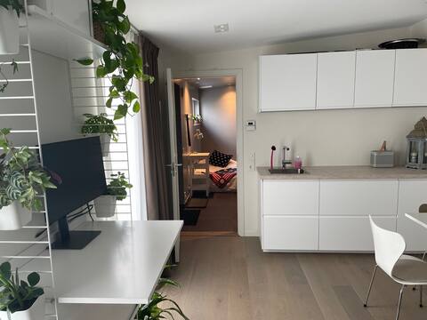 Top performing Airbnb: Newly built guest house in Skanör in Vellinge