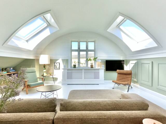 Penthouse med privat tagterrasse