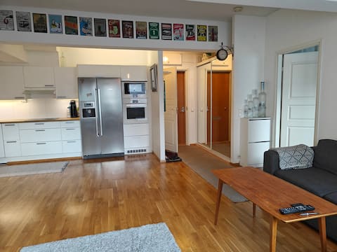 Top performing Airbnb: Downtown apartment with its own sauna in Kyttälä B