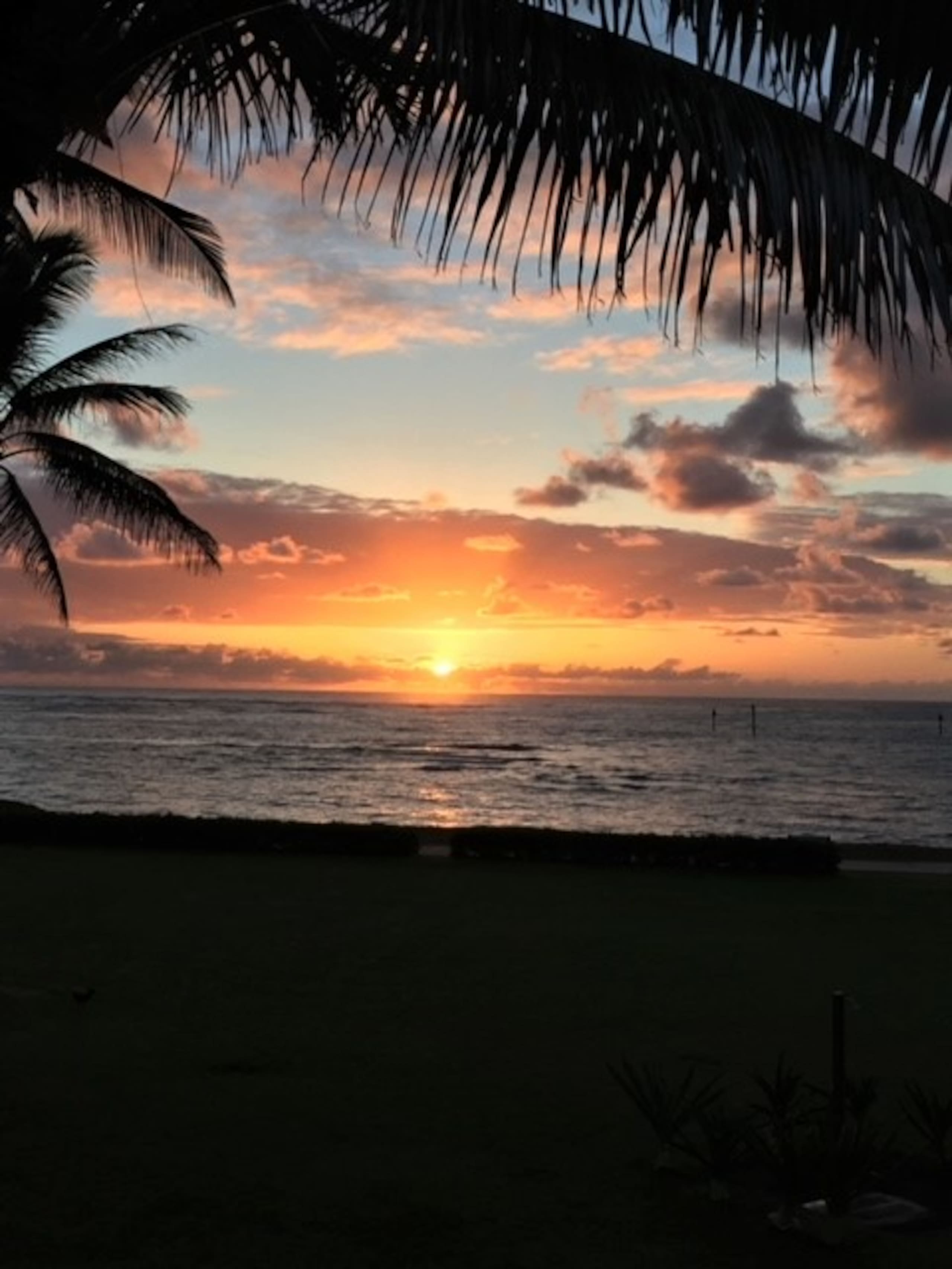 Condo in Kapaa · ★4.97 · 1 bedroom · 2 beds · 1 bath - Image 28