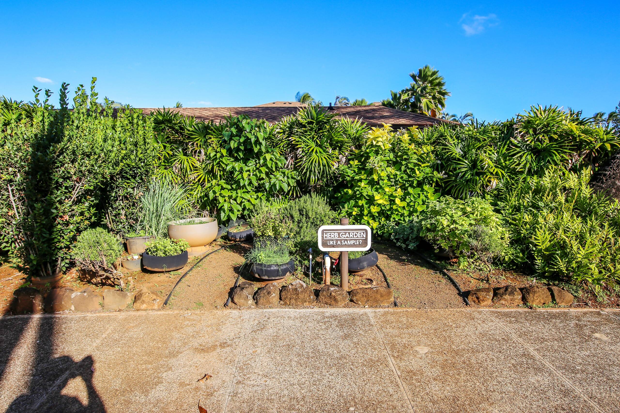 Condo in Kapaa · ★4.97 · 1 bedroom · 2 beds · 1 bath - Image 26
