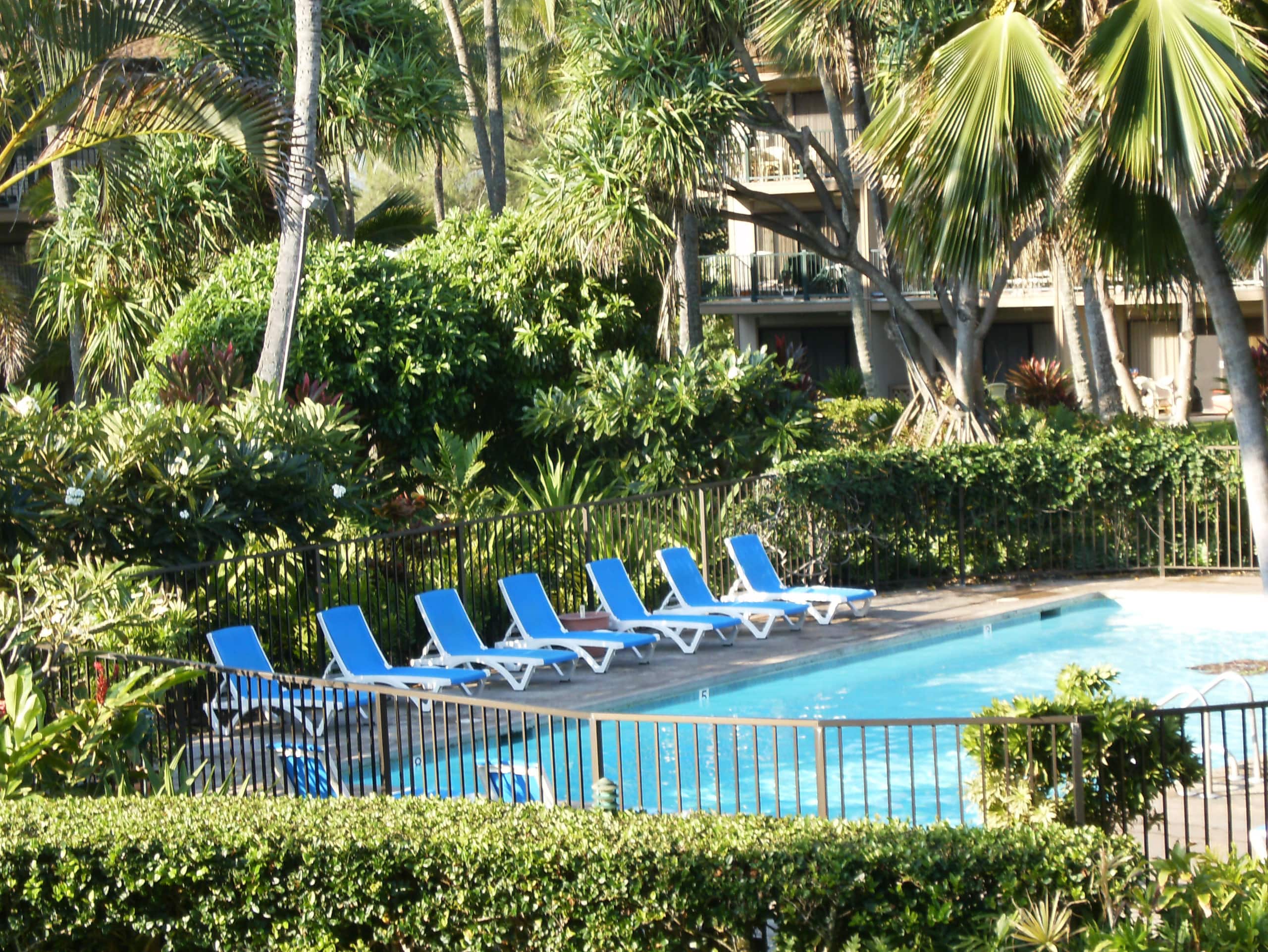 Condo in Kapaa · ★4.97 · 1 bedroom · 2 beds · 1 bath - Image 20