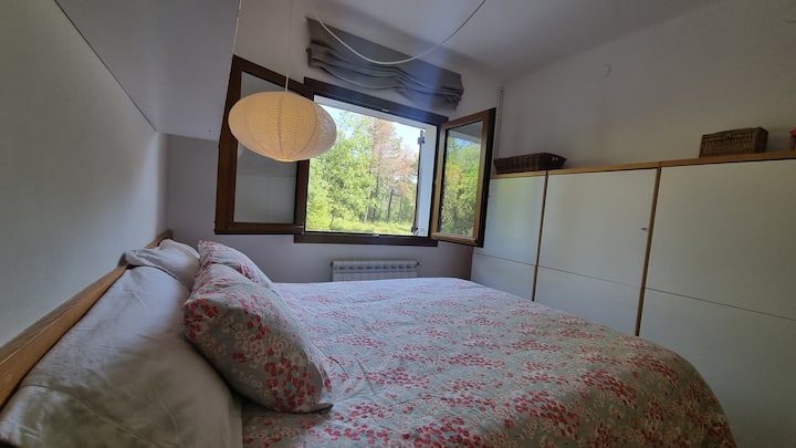 Chumba chenye mwonekano wa moja kwa moja wa msitu. Amani ya akili nyingi.