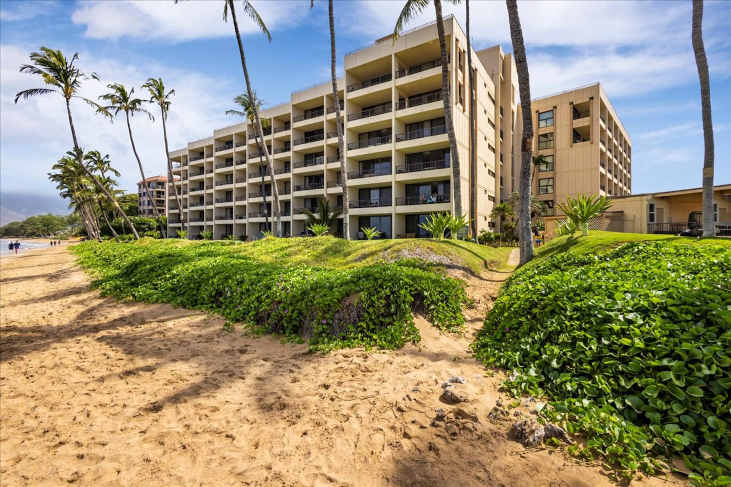 Sugar Beach Bliss 503 - Best Oceanfront Vacay! - Image 19
