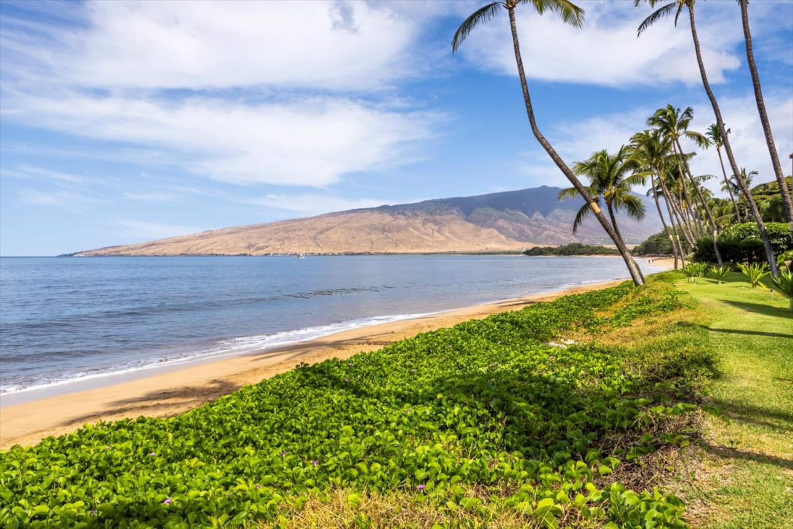 Sugar Beach Bliss 503 - Best Oceanfront Vacay! - Image 22