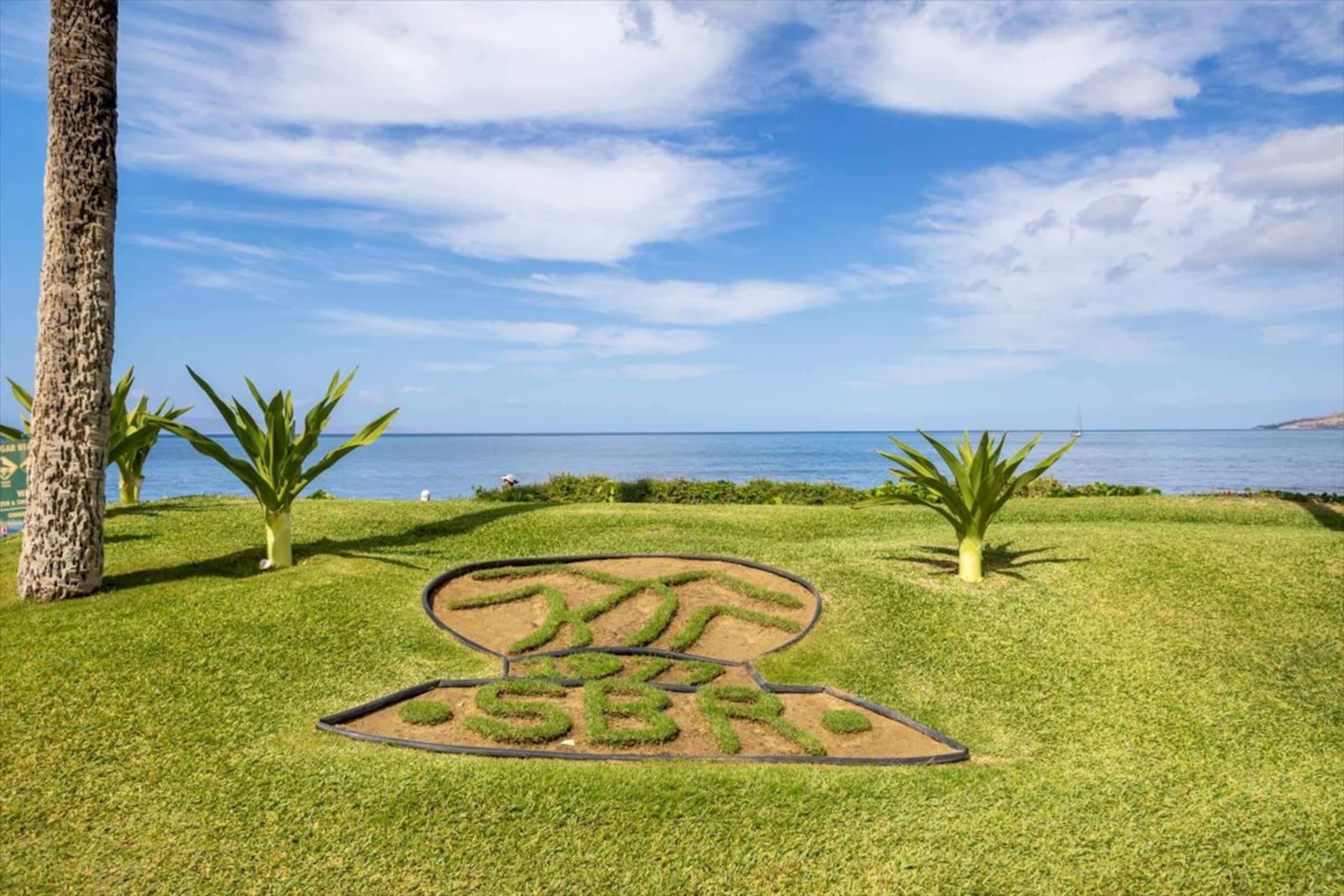 Sugar Beach Bliss 503 - Best Oceanfront Vacay! - Image 25