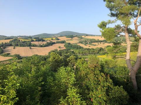 The window on the Conero